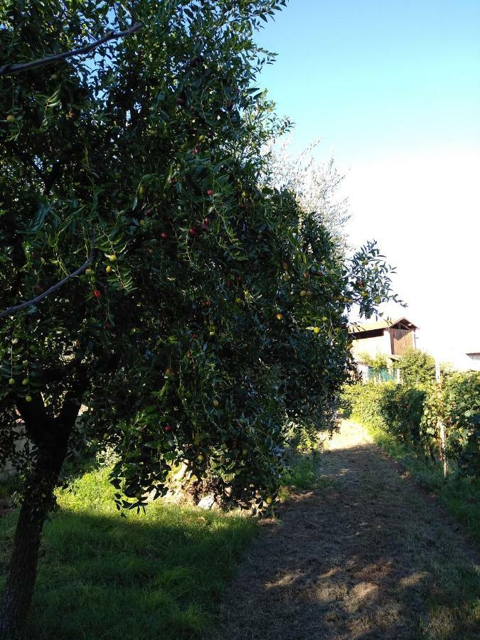 "Country House Il Brolo" Polpenazze del Garda Dış mekan fotoğraf